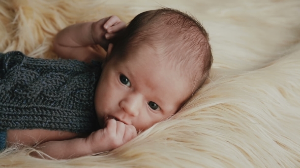 Little Newborn Baby Boy