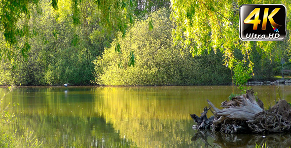 Park in Green Nature alt