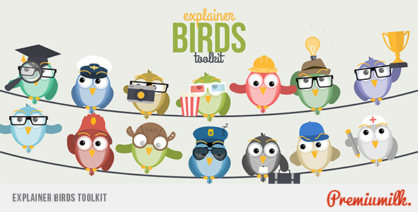Explainer Birds Toolkit - VideoHive 11365647