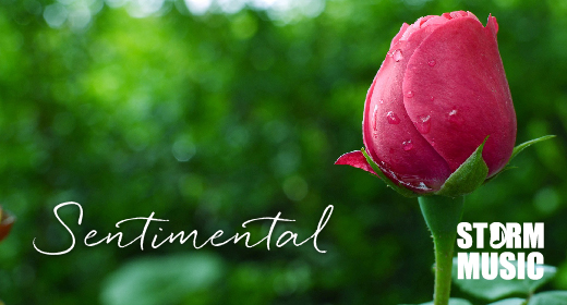 Sentimental Collection