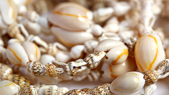 Sea Shells Necklace