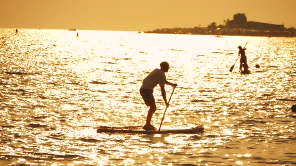 Silhouette of Male Person on Sup Paddle Board on Tropical Ocean with Sunset alt