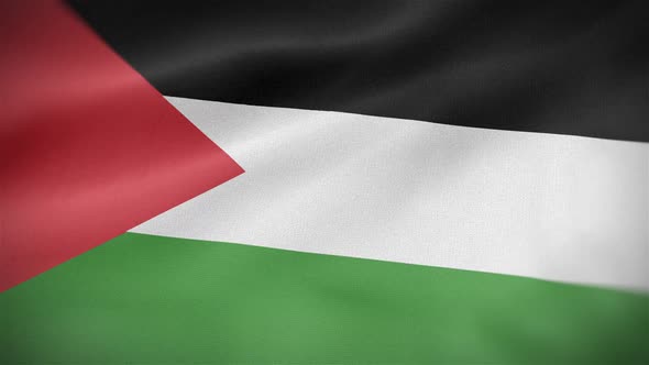 Palestine Flag alt