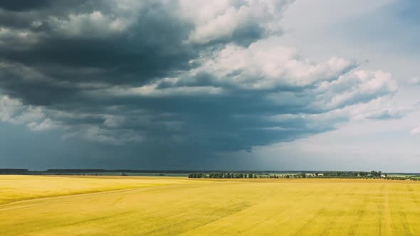 Drone Lapse Hyperlapse Motion Aerial View Of Agricultural Landscape With Young Wheat Field In Summer alt