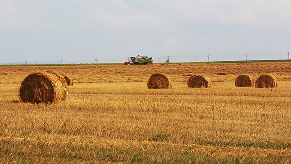 Harvested Bales Of Straw And Combine-Harvester, Stock Footage | VideoHive