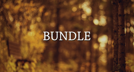 Bundle