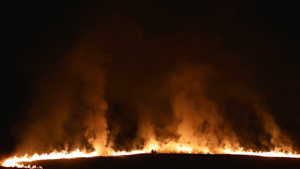 Fire On The Field alt