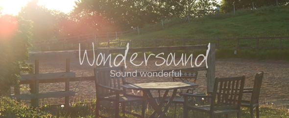 Wondersound logo box banner2