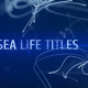 Sea Titles - VideoHive Item for Sale
