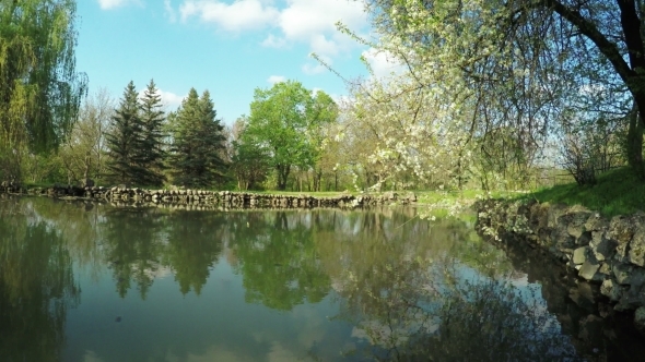 Lake In Park