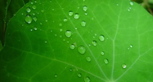 My first personal site