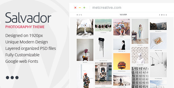 Salvador - Clean Photography Theme