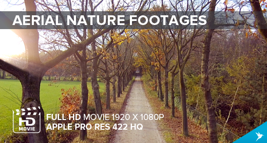 Aerial Nature Footages