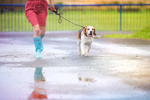 Wellies for cheap dog walking