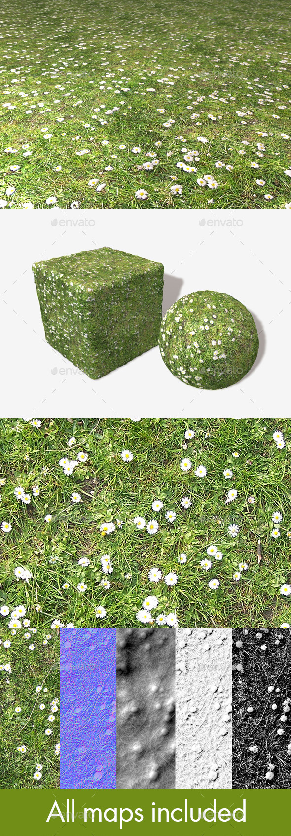 Daisies and Grass - 3Docean 11454922