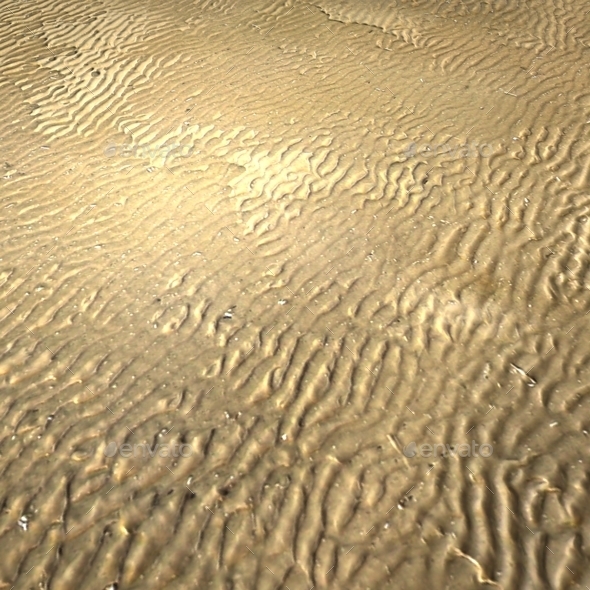 Wavy Wet Sand Seamless Texture by Lucky_Fingers | 3DOcean