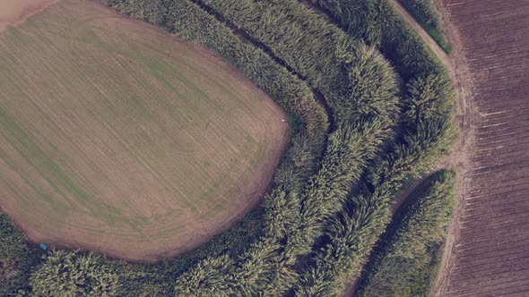 Drone Green Fields River Bank