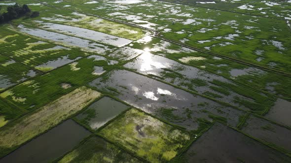 Aerial beautiful sun light reflect in flood water alt