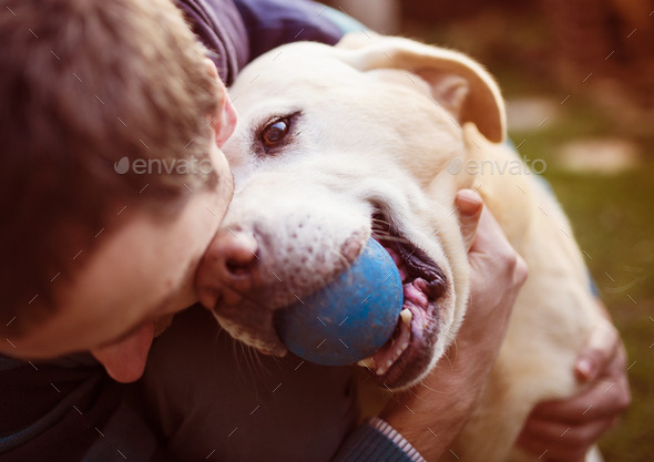Man and dog - Stock Photo - Images