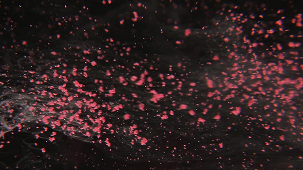 Pink Particles Flow