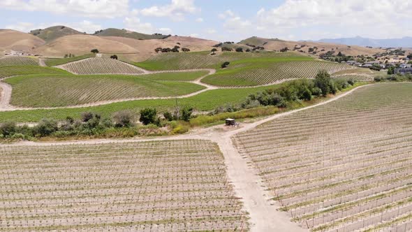 Los Alomos Vineyards Drone Ariel Tracking