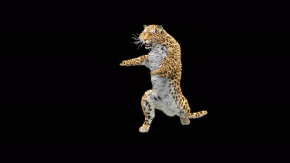 77 Leopard Dual Weapon Combo 4K alt