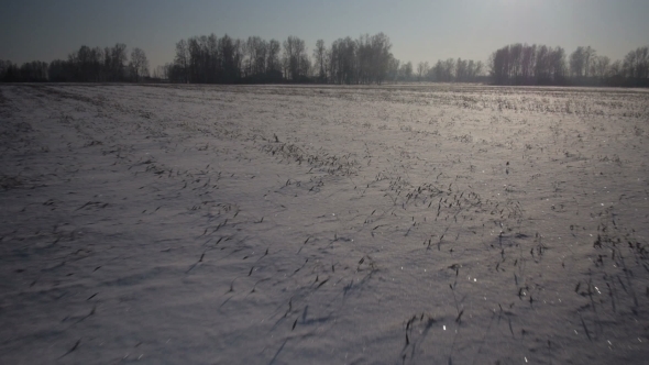 Winter Park In Snow. Snowy Field And Blue Sky. alt