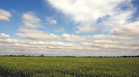 Rural Farm Field Crops Wave Clouds Pass