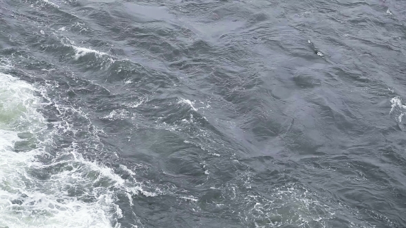 Astern And Seagulls alt