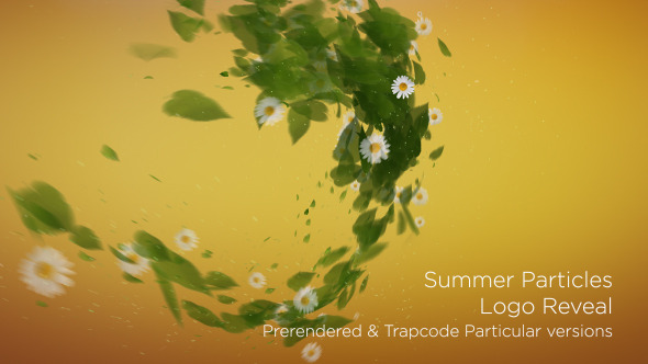 Summer Particles Logo Reveal