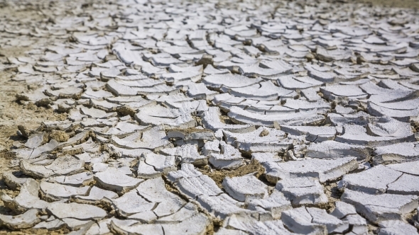 Feet Of Researcher Walking On Cracked Desert Earth