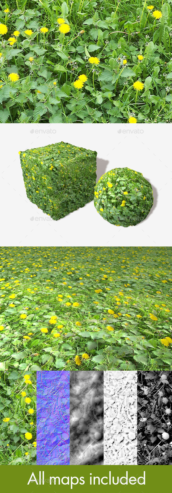 Dandelions and Weeds - 3Docean 11493593