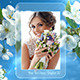 Photo Gallery Spring Blossoms - VideoHive Item for Sale