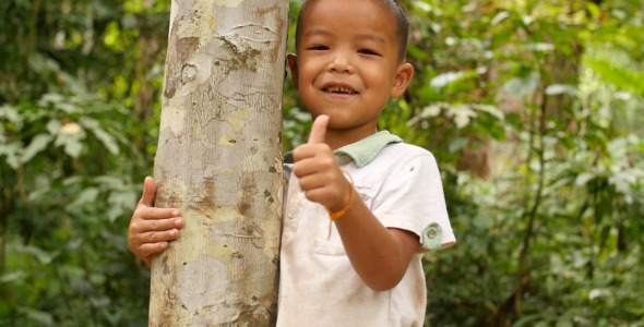 Hasil gambar untuk hugging tree