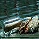 Message Bottle and Sea Shells at Saeside - VideoHive Item for Sale
