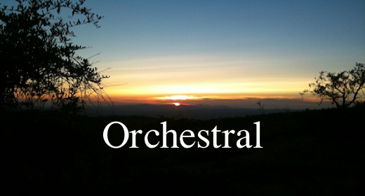 Orchestral