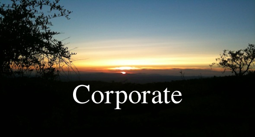 Corporate Motivational