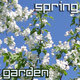 Blossoming Spring Garden - VideoHive Item for Sale