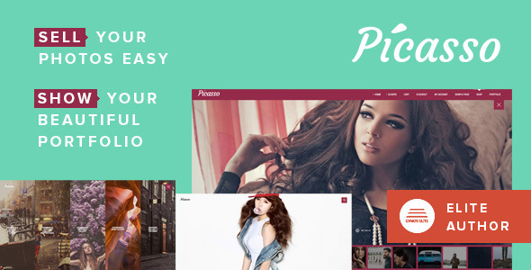 Picasso - Photography - ThemeForest 11539219