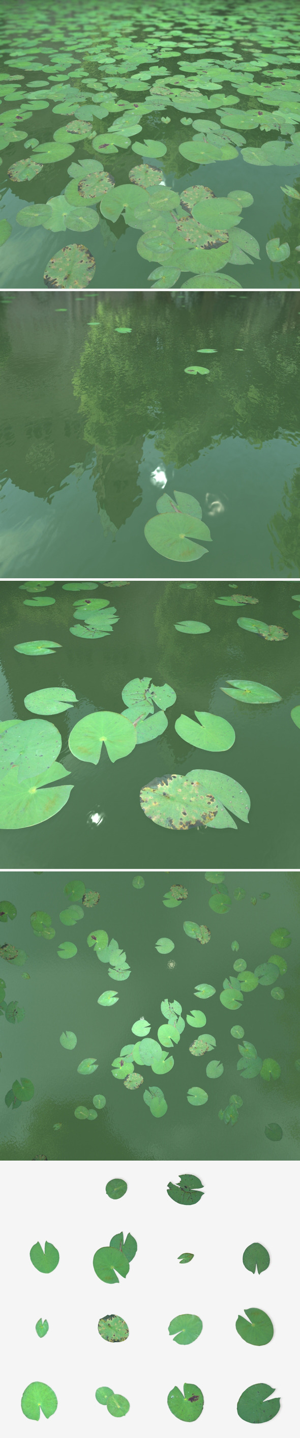 Lily Pads - 3Docean 11544455