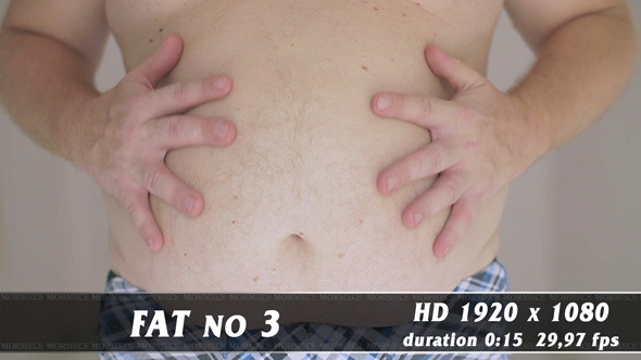 Fat No.3