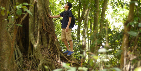 Asian Man With Big Tree alt