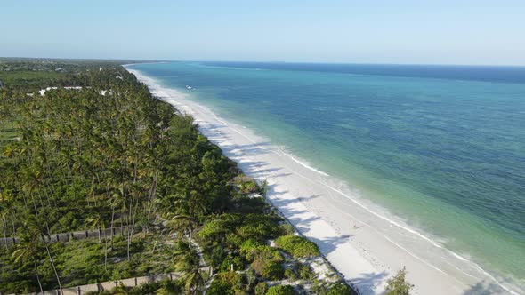 Thickets on the Coast of the Island of Zanzibar Tanzania Slow Motion alt