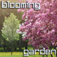 Blooming Garden - VideoHive Item for Sale