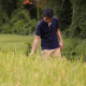 Asian Man In Rice Field Asian Man In Rice Field - VideoHive Item for Sale