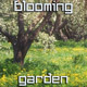Blooming Garden - VideoHive Item for Sale