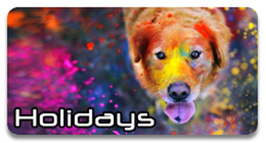 Holidays
