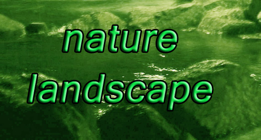 nature & landscapes