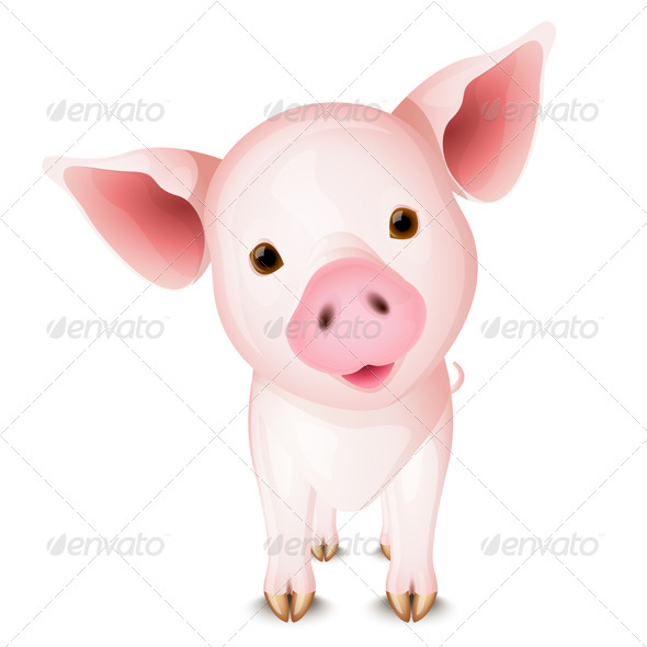Little pink pig - Animals Characters
