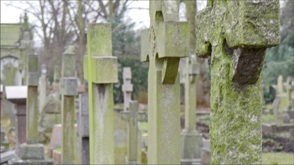 Old and Mossy Gravestones Lined Up in the Cemetery